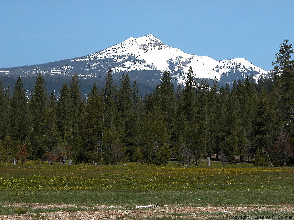 Lassen Peak - Lassen Peak