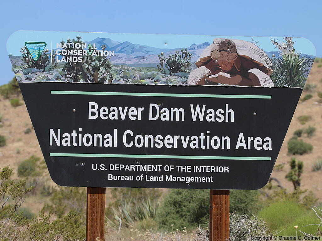 Beaver Dam Wash National Conservation Area - Entrance Sign