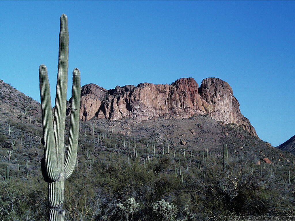 Tonto National Monument - Landscape