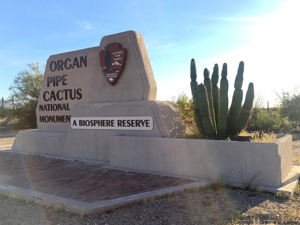 Organ Pipe Cactus National Monument - Entrance