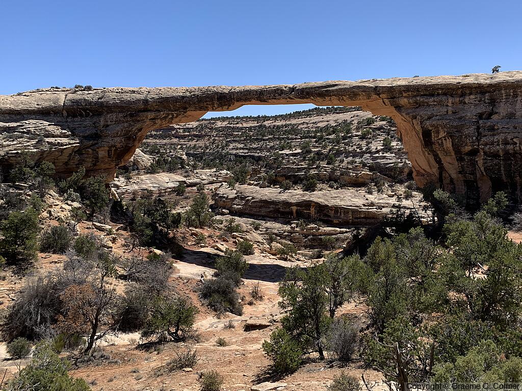 Natural Bridges National Monument - Owachomo Bridge