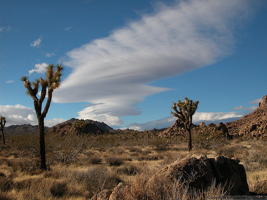 Joshua Tree National Park - Landscape