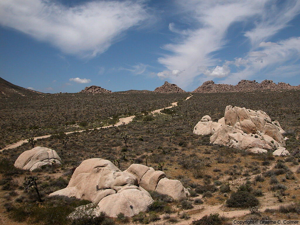 Joshua Tree National Park - Landscape