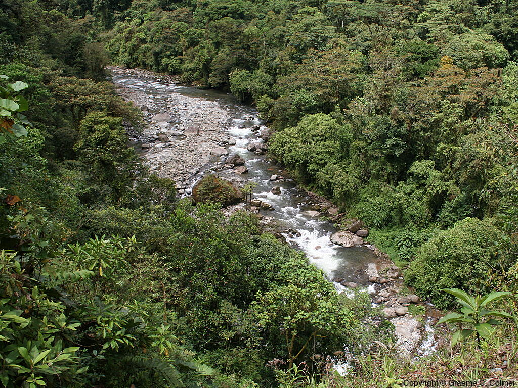 Tapantí National Park - Orosi River