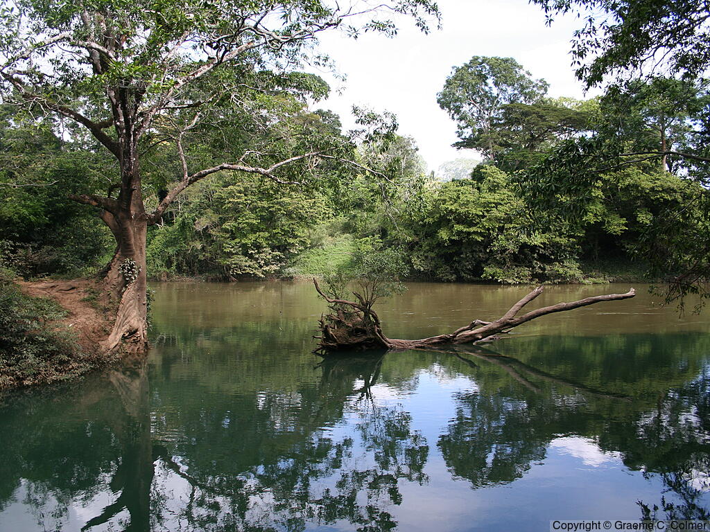Guanacaste National Park - Landscape