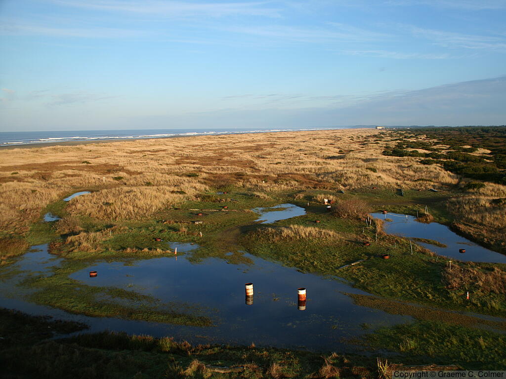 Olympic National Park - Landscape
