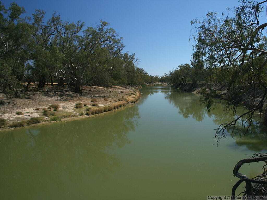 Kinchega National Park - Darling River
