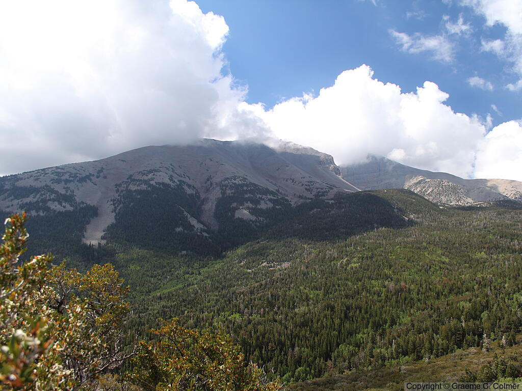 Great Basin National Park - Landscape