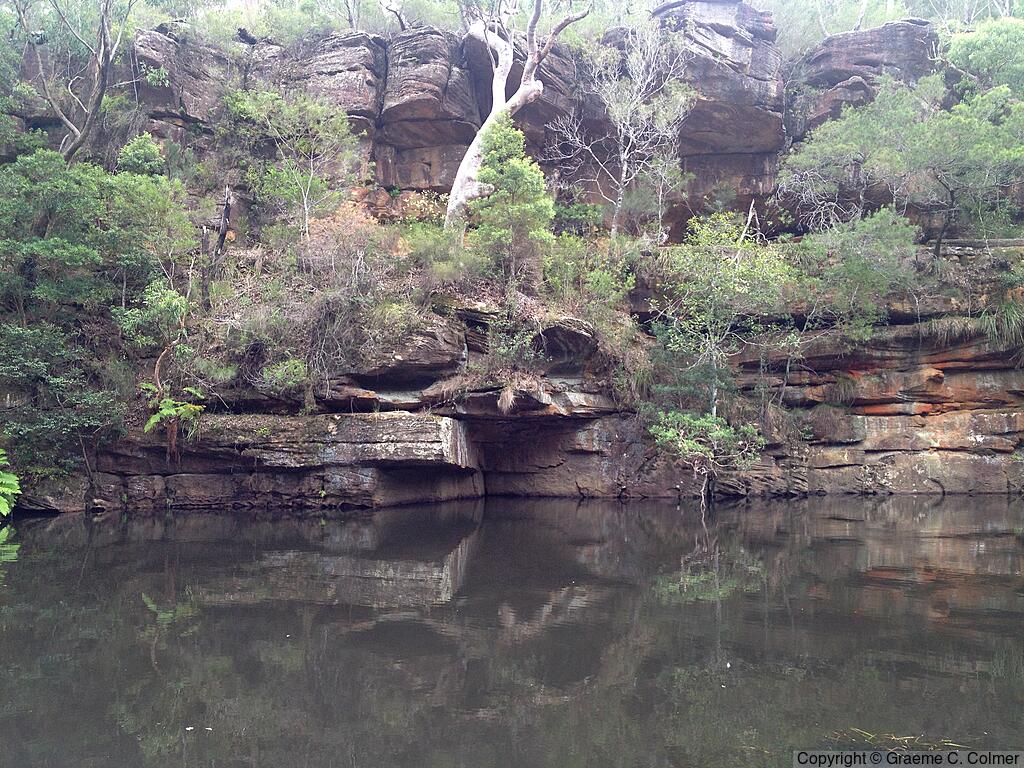 Royal National Park - Landscape