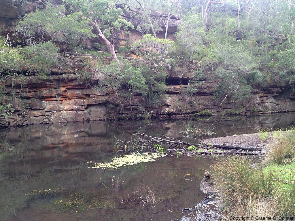 Royal National Park - Landscape