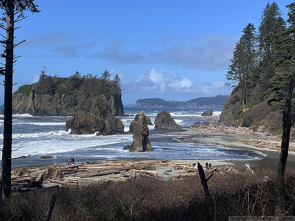 Olympic National Park - Coastline