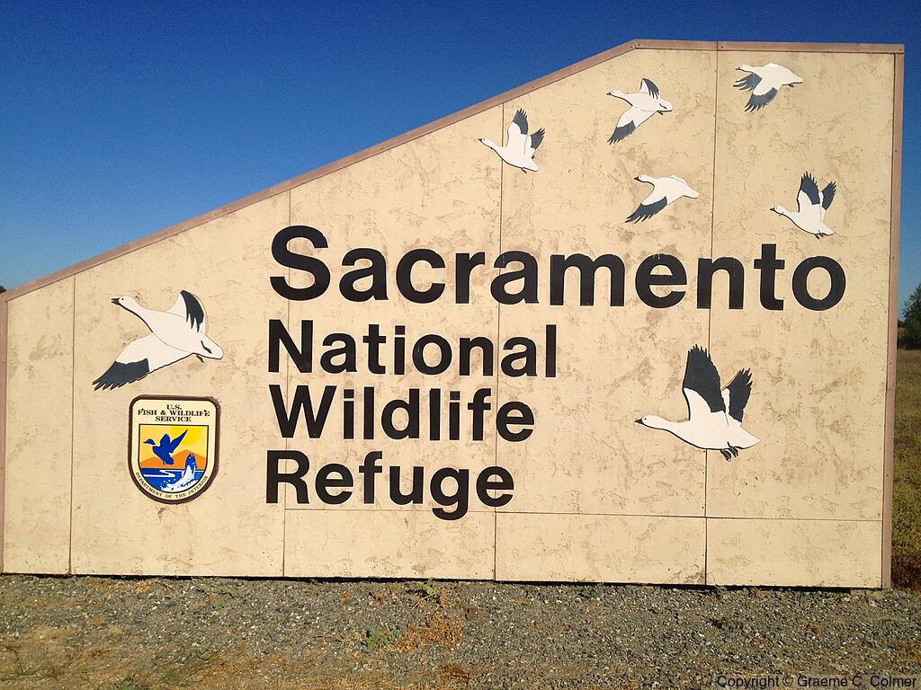 Sacramento National Wildlife Refuge - Old Entrance Sign (2013)