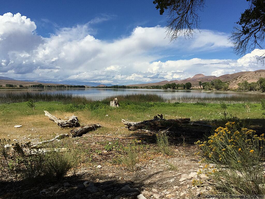 Pahranagat National Wildlife Refuge - Habitat