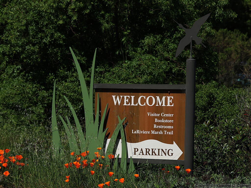 Don Edwards San Francisco Bay National Wildlife Refuge - Visitor Center