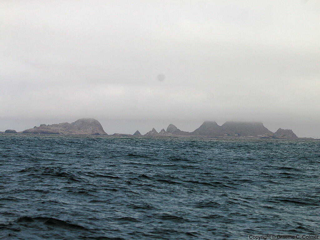 Farallon National Wildlife Refuge - Farallon Islands