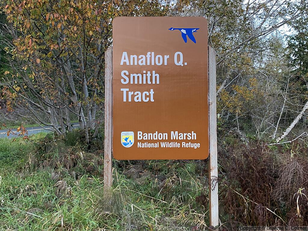 Bandon Marsh National Wildlife Refuge - Anaflor Q. Smith Tract