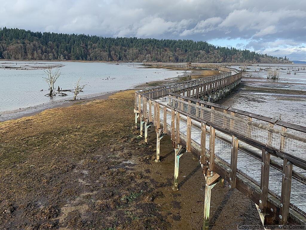 Billy Frank Jr. Nisqually National Wildlife Refuge - Nisqually Boardwalk