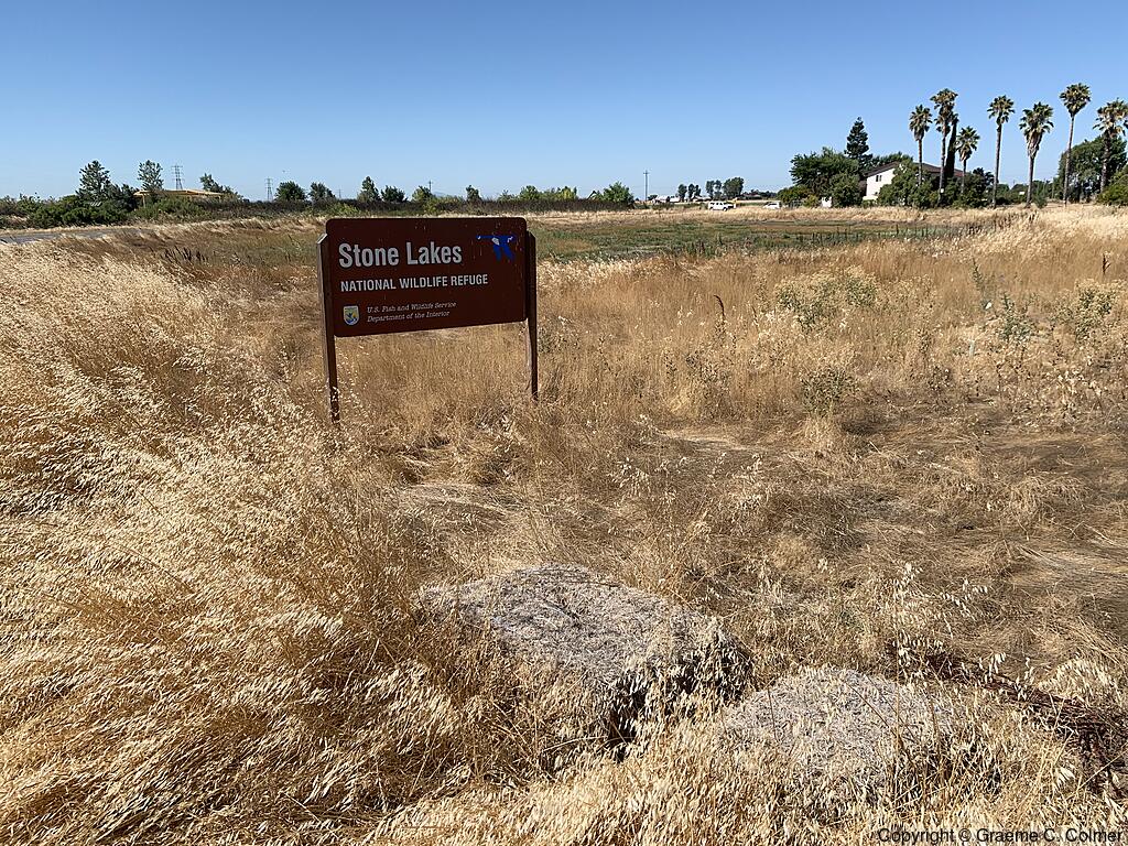 Stone Lakes National Wildlife Refuge - Landscape