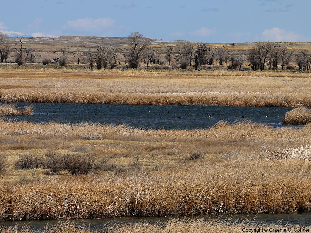 Seedskadee National Wildlife Refuge - Habitat