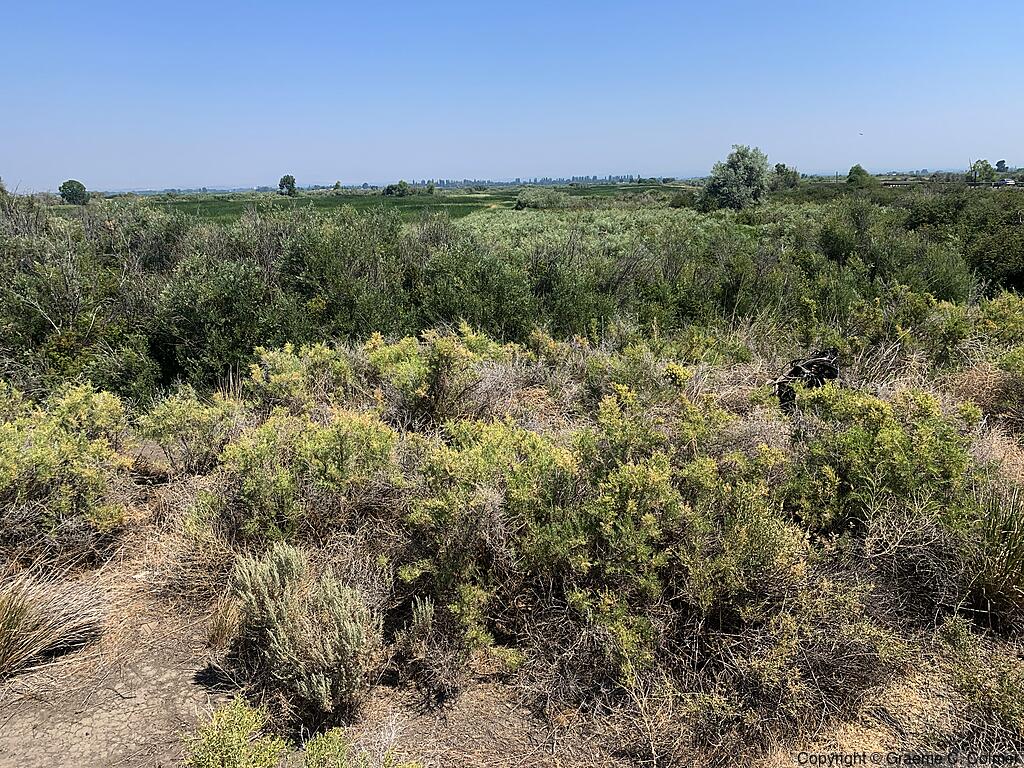 Toppenish National Wildlife Refuge - Landscape