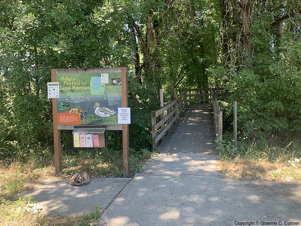 Ankeny National Wildlife Refuge - Pintail and Egret Marshes