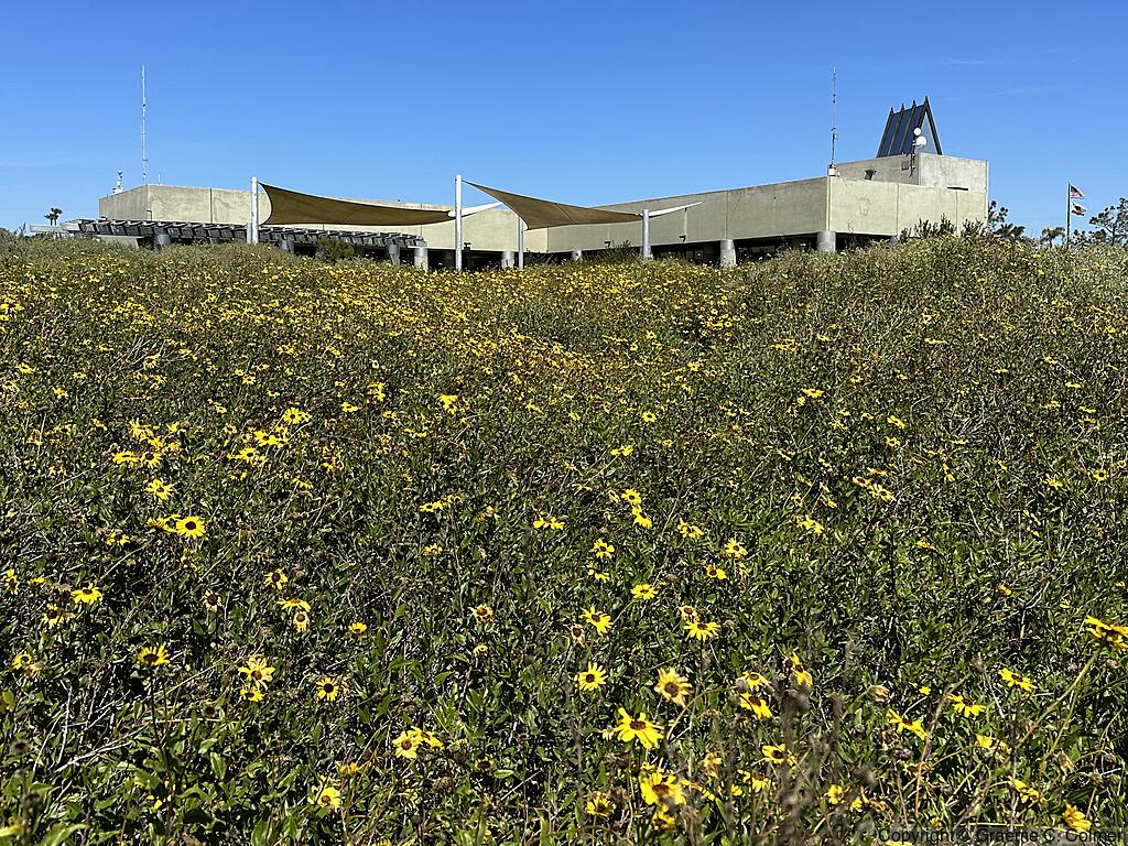 Tijuana Slough National Wildlife Refuge - Visitor Center