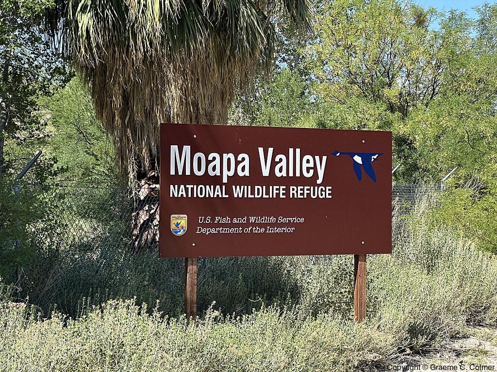 Moapa Valley National Wildlife Refuge - Entrance