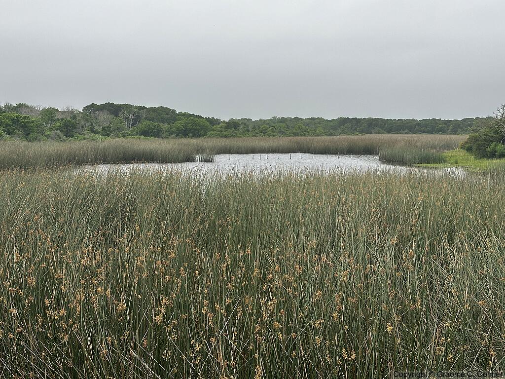Brazoria National Wildlife Refuge - Landscape