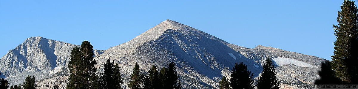 Mount Dana - Mount Dana