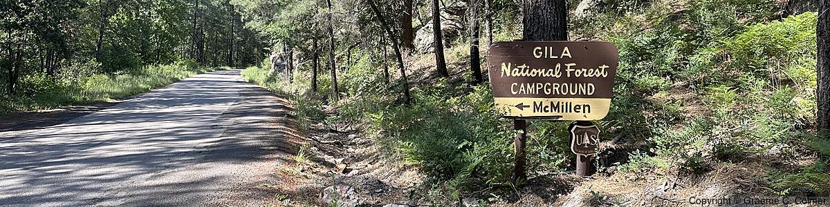 Gila National Forest - Gila National Forest