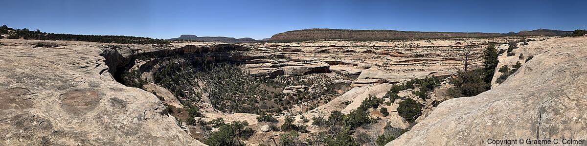 Natural Bridges National Monument - Natural Bridges National Monument