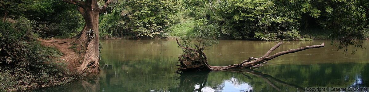 Guanacaste National Park - Guanacaste National Park