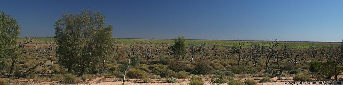 Kinchega National Park - Kinchega National Park