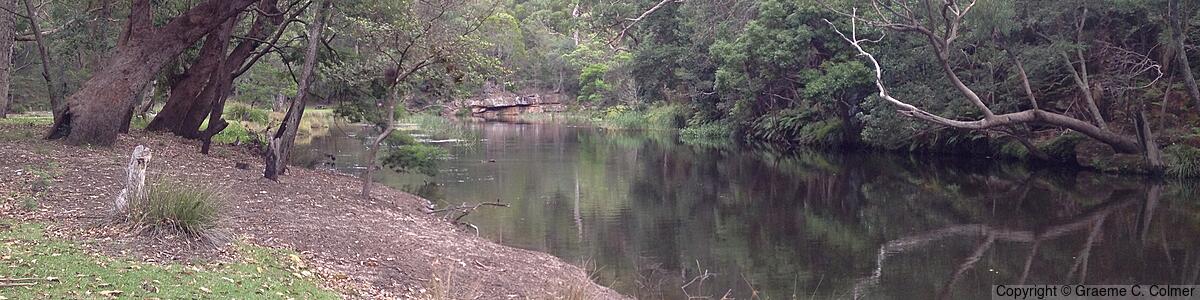 Royal National Park - Royal National Park
