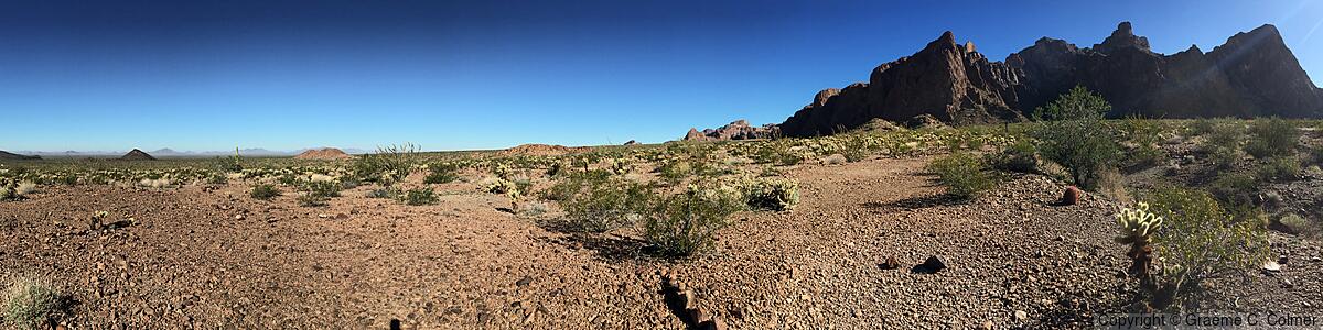 Kofa National Wildlife Refuge - Kofa National Wildlife Refuge