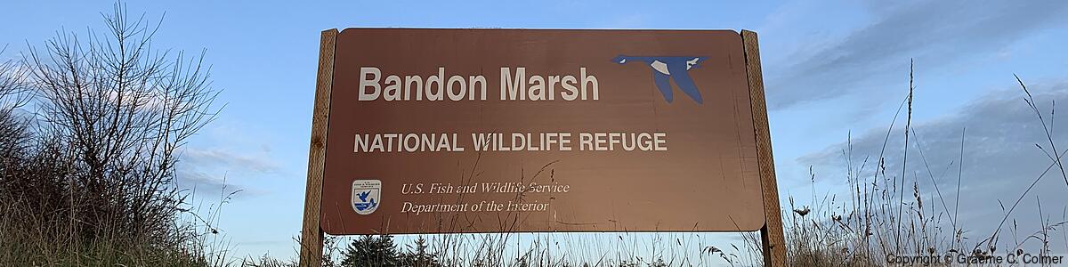 Bandon Marsh National Wildlife Refuge - Bandon Marsh National Wildlife Refuge