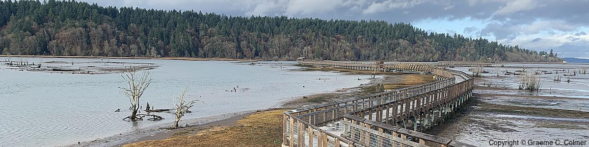 Billy Frank Jr. Nisqually National Wildlife Refuge - Billy Frank Jr. Nisqually National Wildlife Refuge