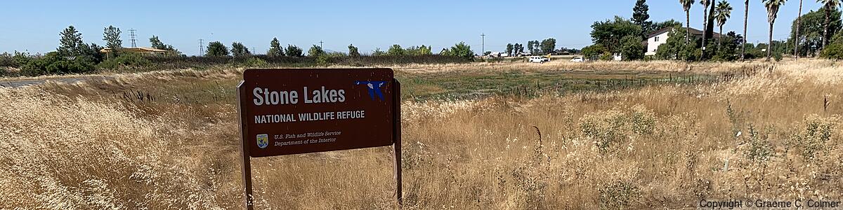 Stone Lakes National Wildlife Refuge - Stone Lakes National Wildlife Refuge