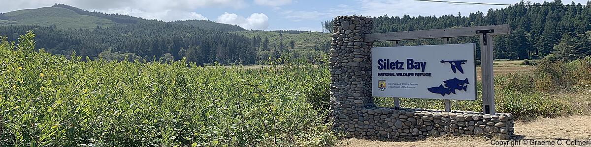 Siletz Bay National Wildlife Refuge - Siletz Bay National Wildlife Refuge