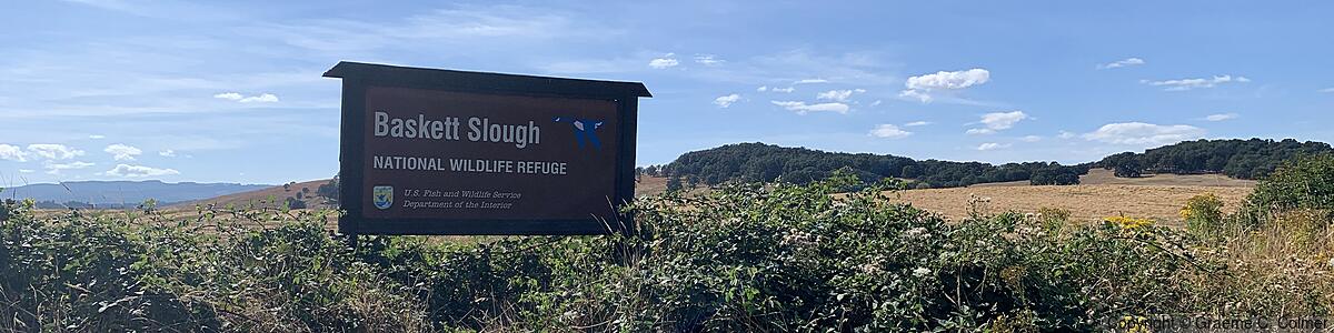 Baskett Slough National Wildlife Refuge - Baskett Slough National Wildlife Refuge