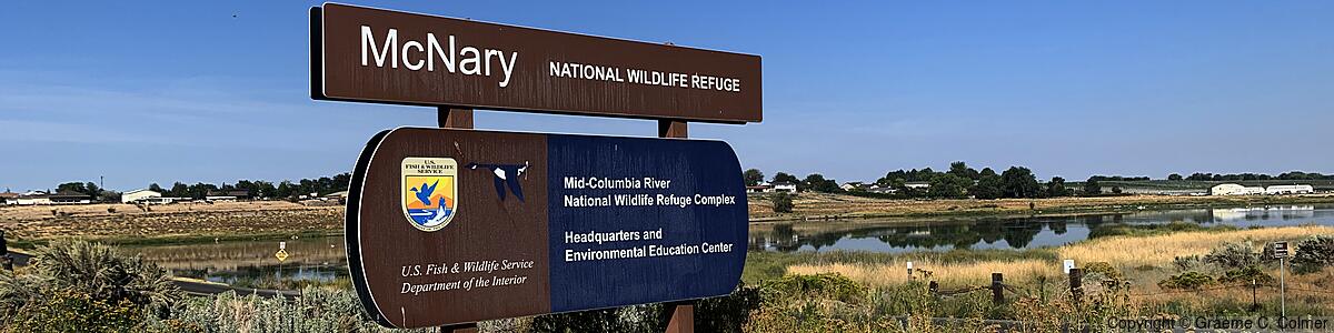 McNary National Wildlife Refuge - McNary National Wildlife Refuge