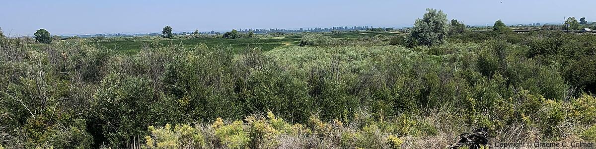 Toppenish National Wildlife Refuge - Toppenish National Wildlife Refuge