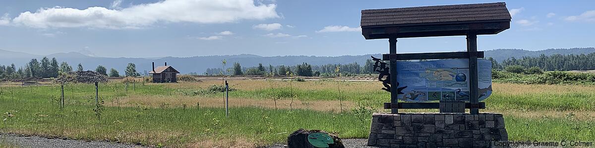 Steigerwald Lake National Wildlife Refuge - Steigerwald Lake National Wildlife Refuge