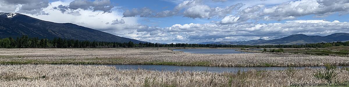 Lee Metcalf National Wildlife Refuge - Lee Metcalf National Wildlife Refuge