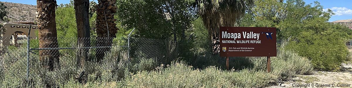 Moapa Valley National Wildlife Refuge - Moapa Valley National Wildlife Refuge