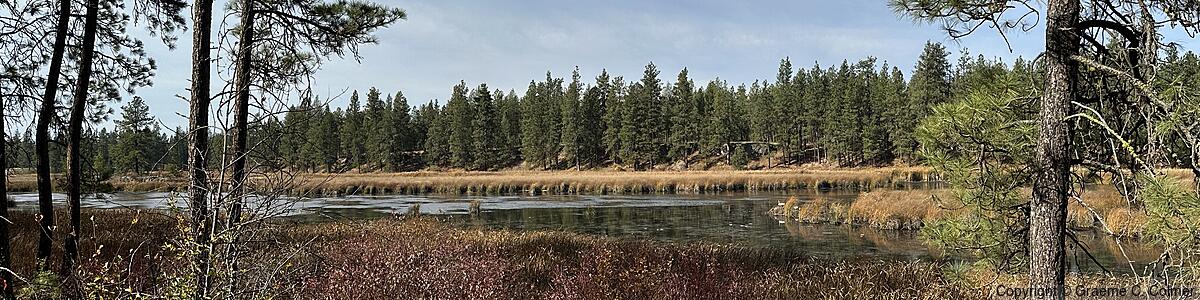 Turnbull National Wildlife Refuge - Turnbull National Wildlife Refuge