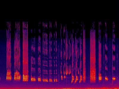 Northern Mockingbird (Mimus polyglottos) - Song