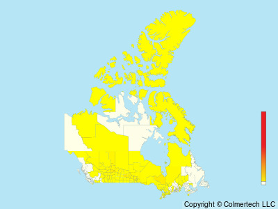 LeConte's Sparrow (Ammospiza leconteii) - Canada
