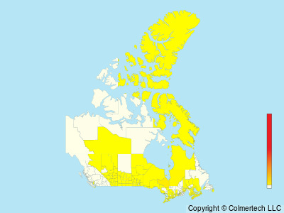 Nelson's Sparrow (Ammospiza nelsoni) - Canada