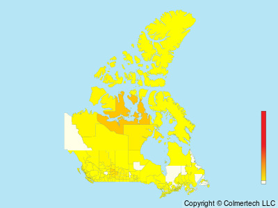 Greater White-fronted Goose (Anser albifrons) - Canada